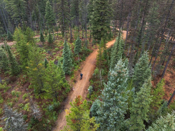 Cyclist riding a mountain bike along a winding dirt trail through rolling green hills
